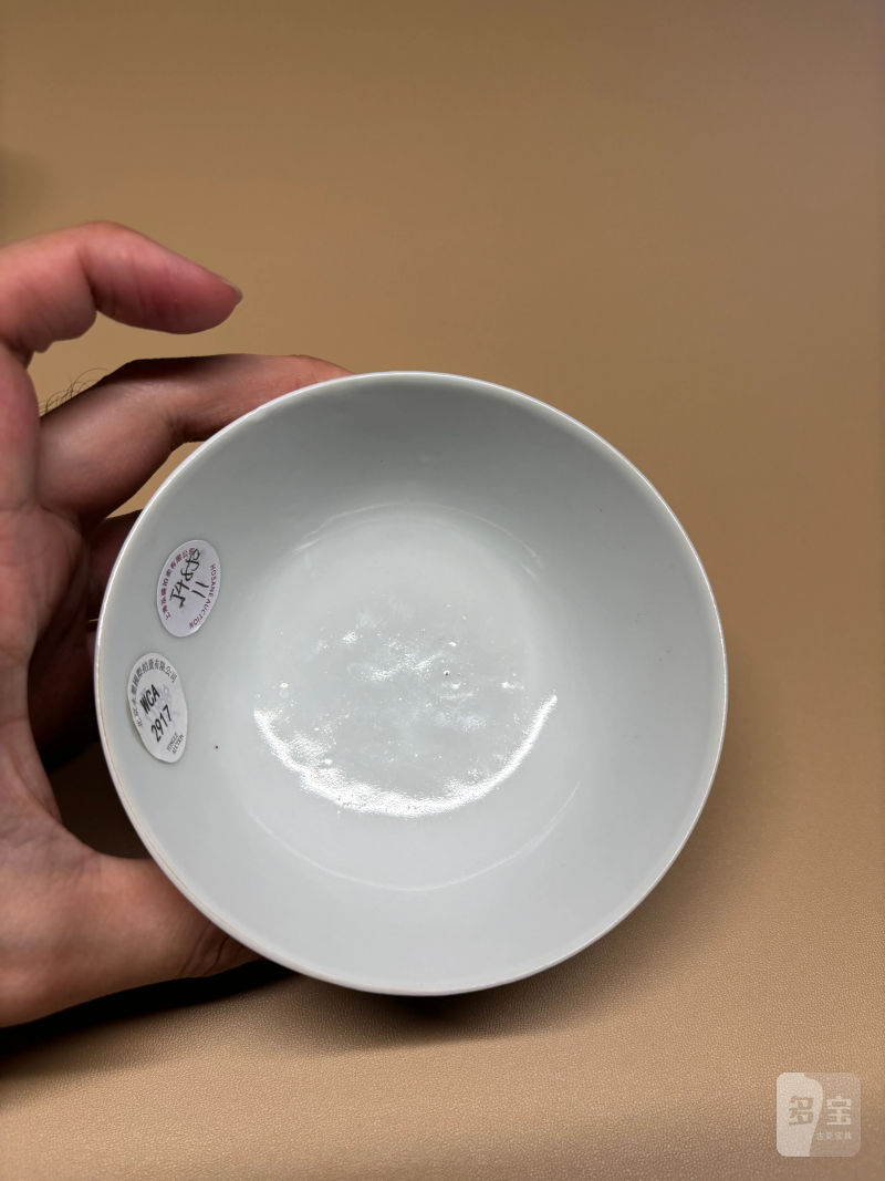 清道光 粉彩荷花水禽图碗 - 图6